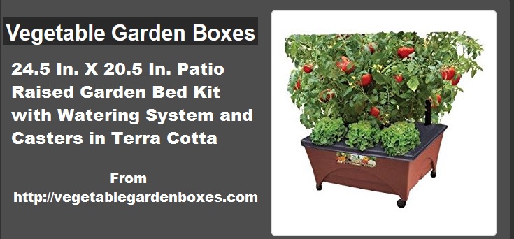 vegetable garden boxes